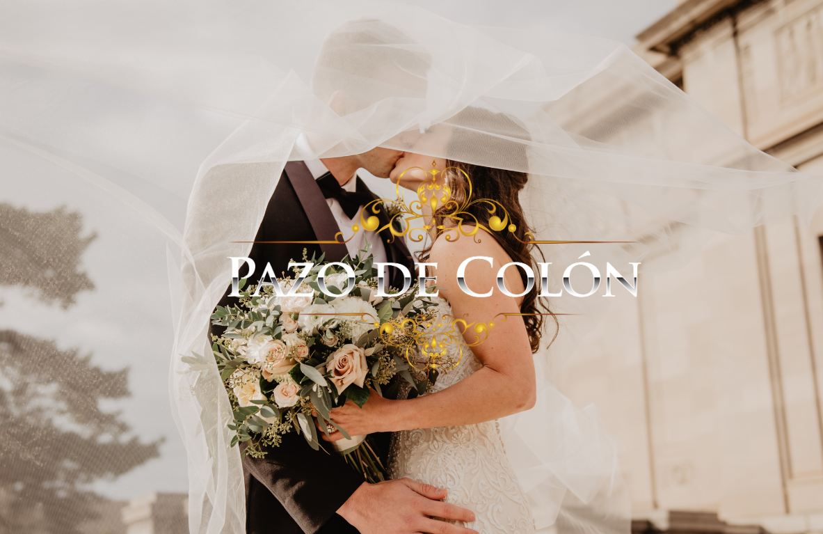 ejemplos de paginas web pazo de bodas
